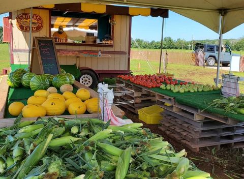 roadside stand