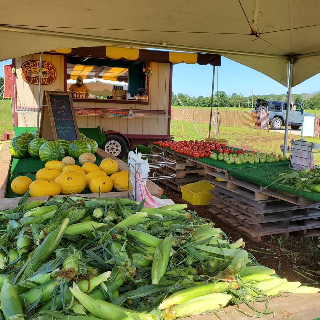 roadside stand