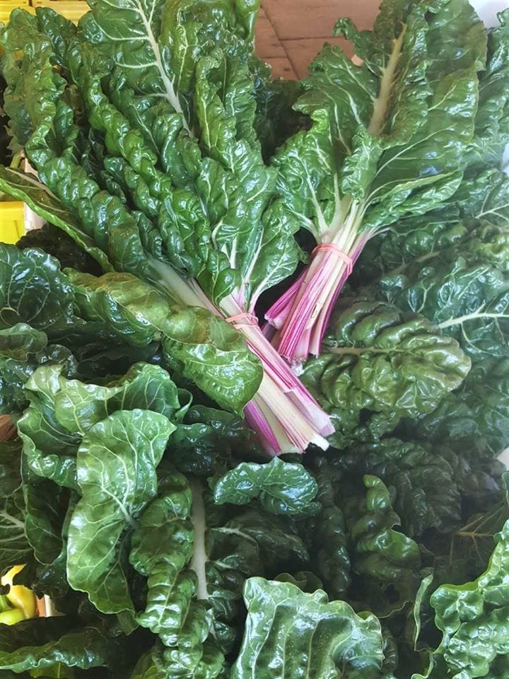 swiss chard