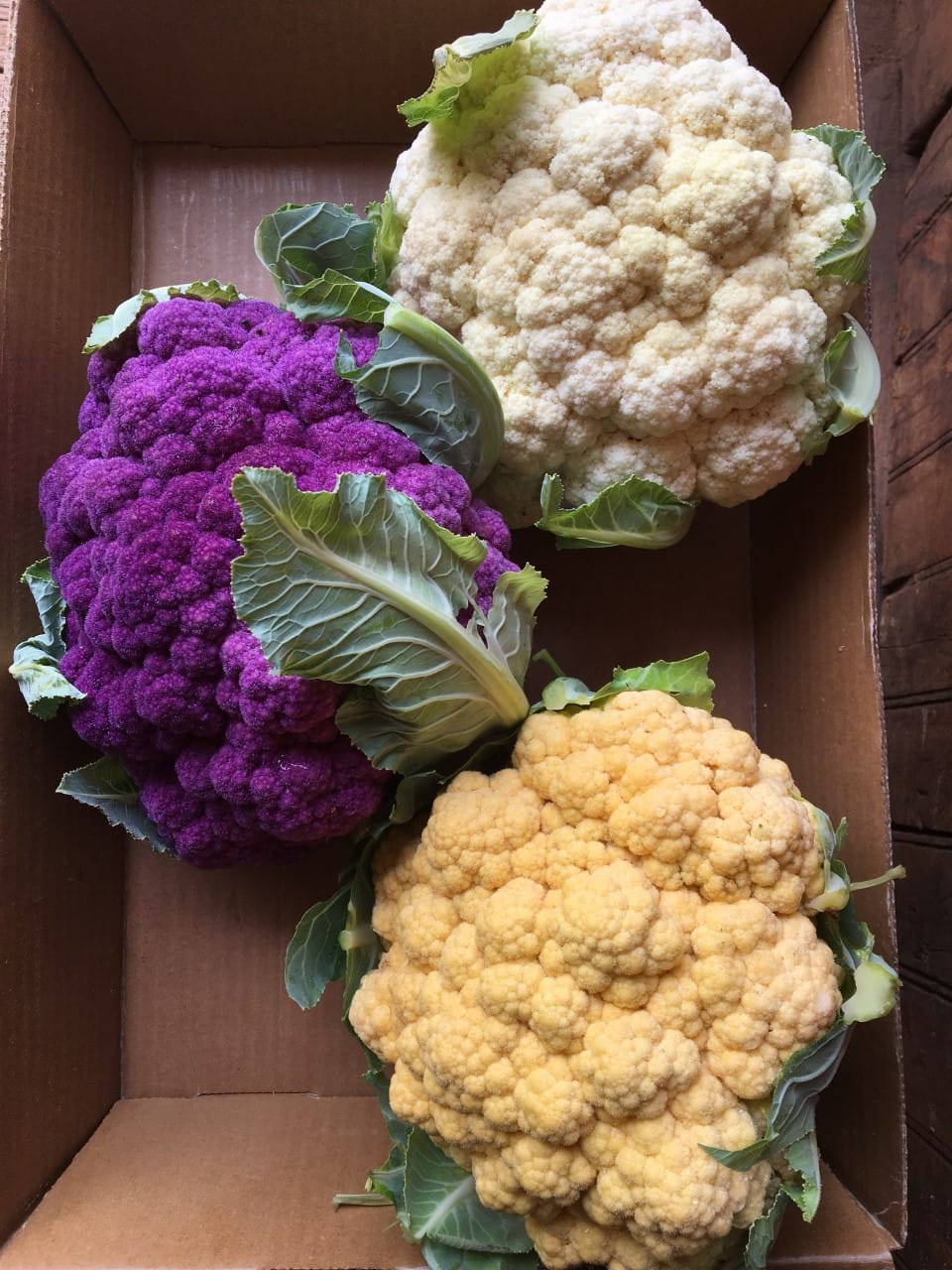 Cauliflower 3 colors