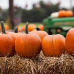 pumpkins on a hay bale