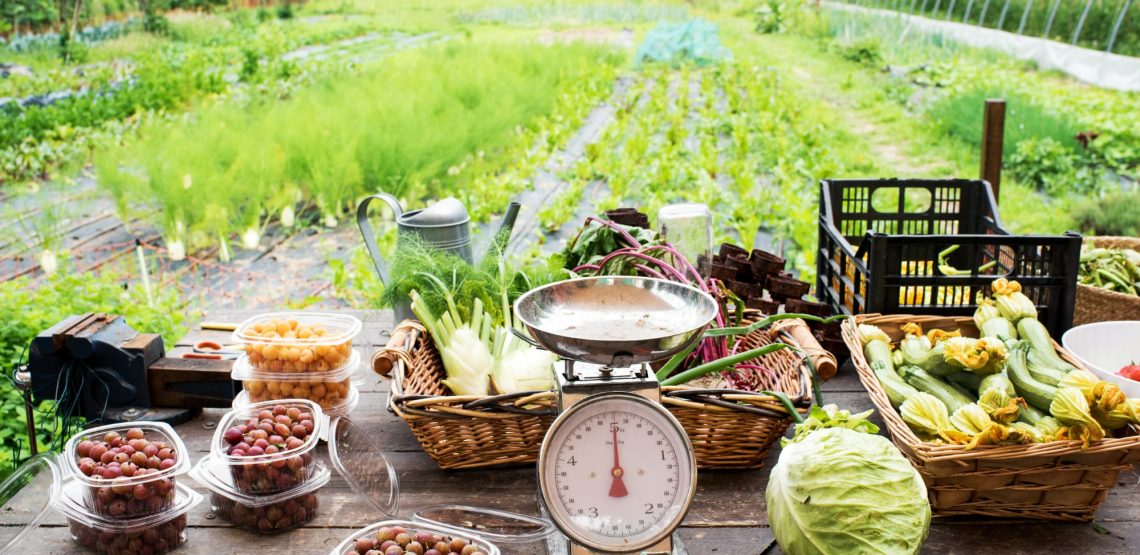 table set with veggies and a scale in front of a field