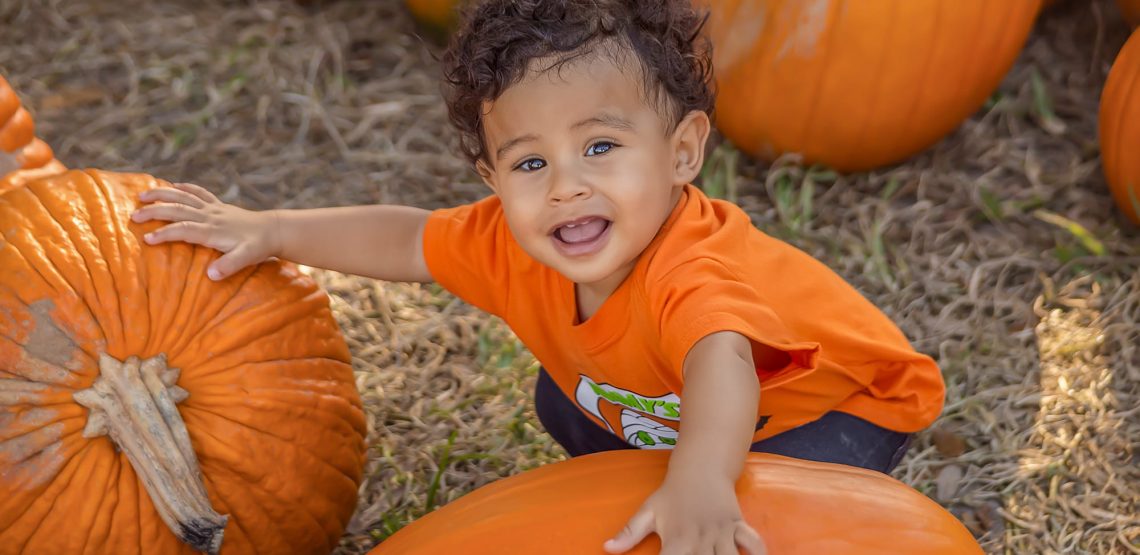 toddler with pumpkins as big as he is