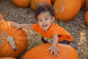 toddler with pumpkins as big as he is