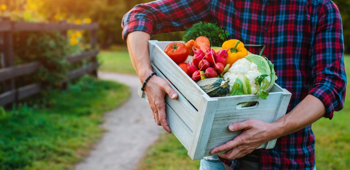 person holding a box of fresh vegetables