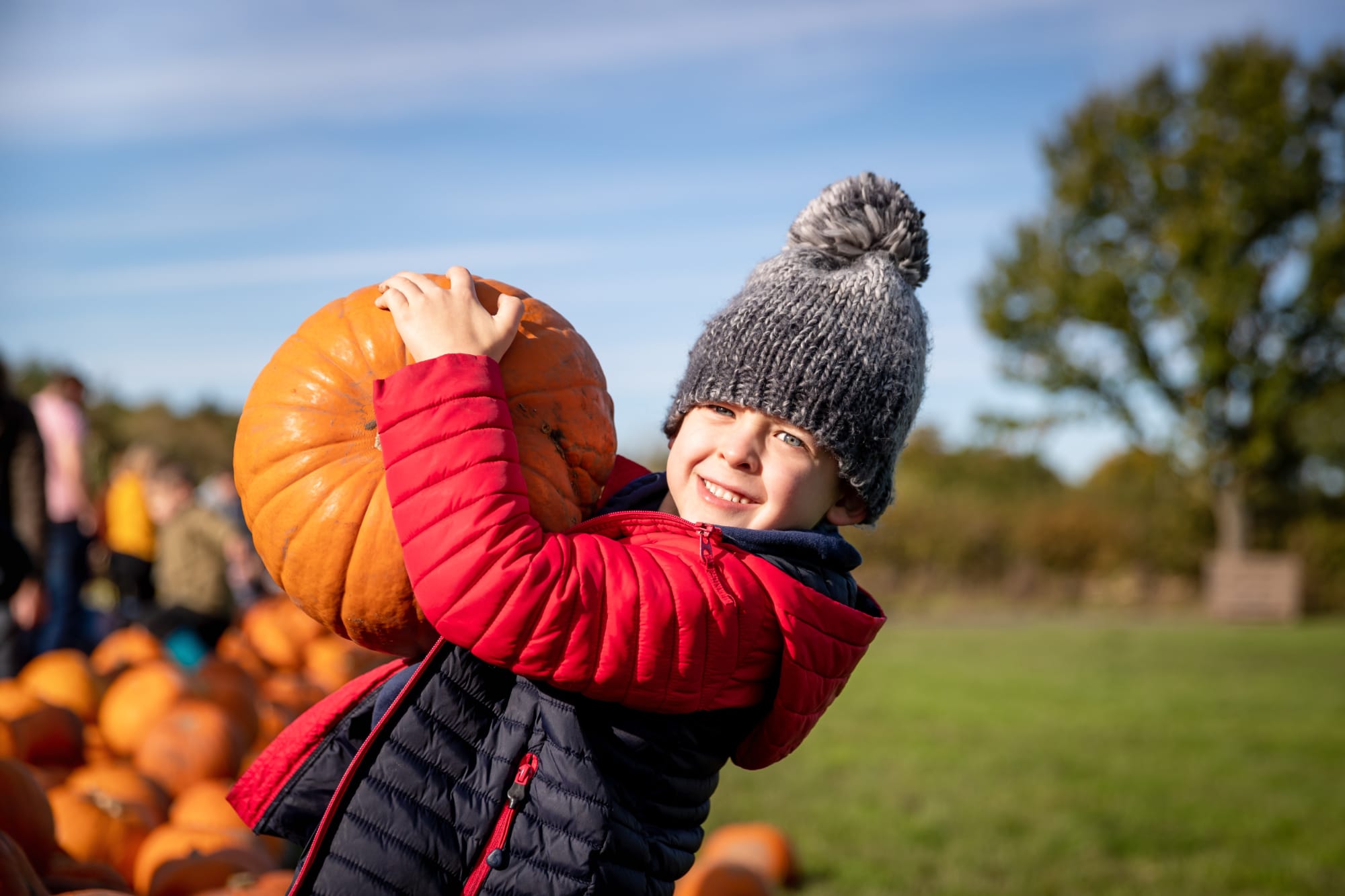 boy holding pumpkin