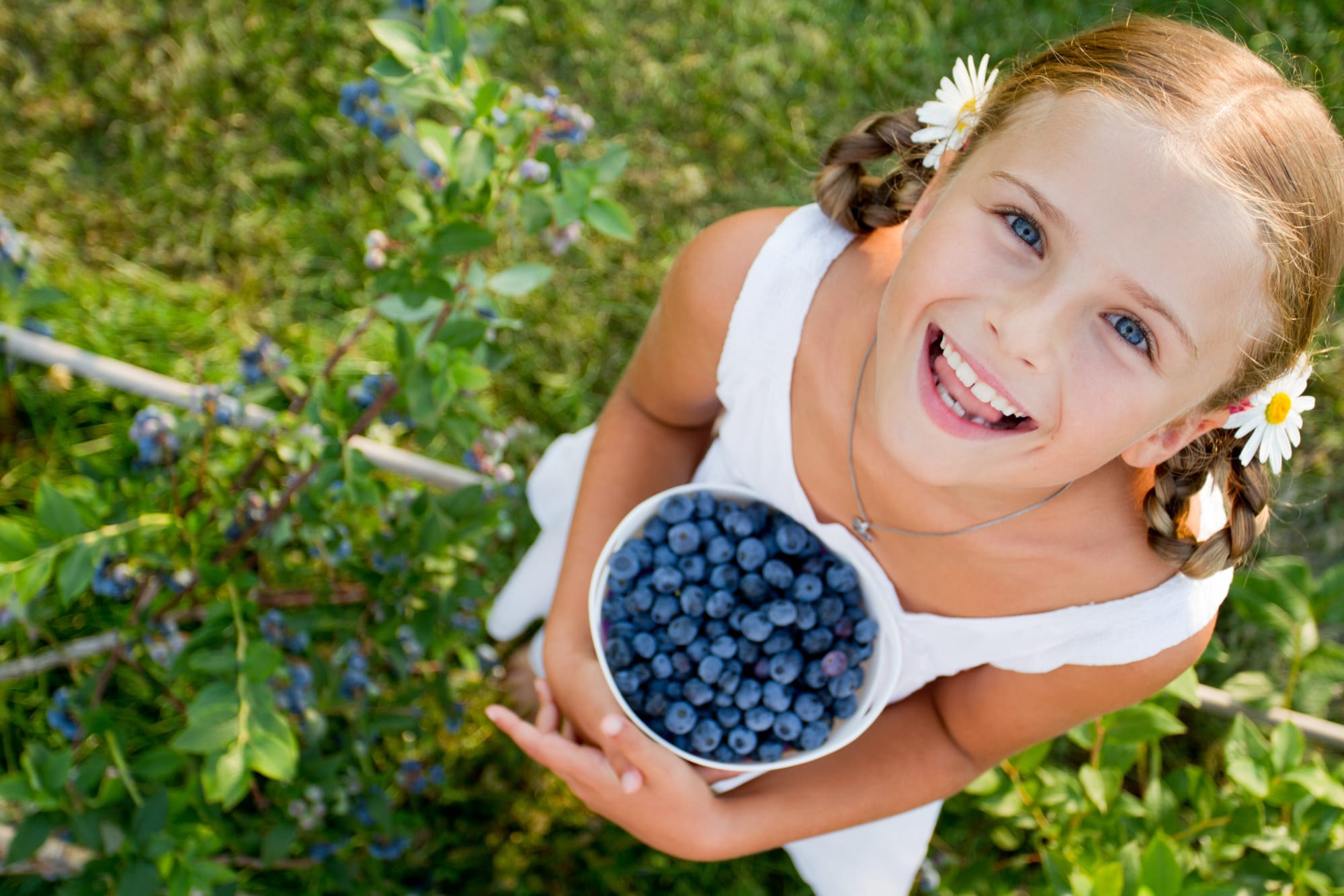 young girl with freshly picked blueberries