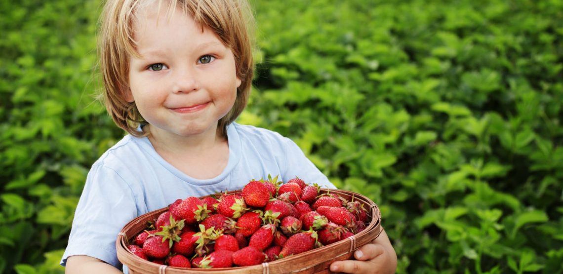 boy with bushel of strawberries